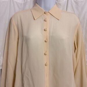 Ann Taylor Silk Long-sleeved Button-Down Blouse